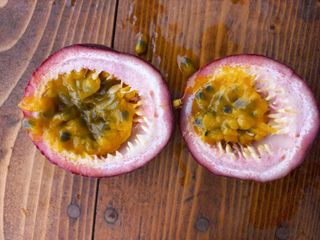 박린님의 자유주제 · 자유게시판 작성글 사진