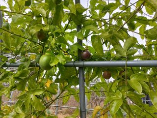 박린님의 자유주제 · 자유게시판 작성글 사진