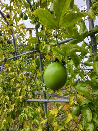 박린님의 자유주제 · 자유게시판 작성글 사진