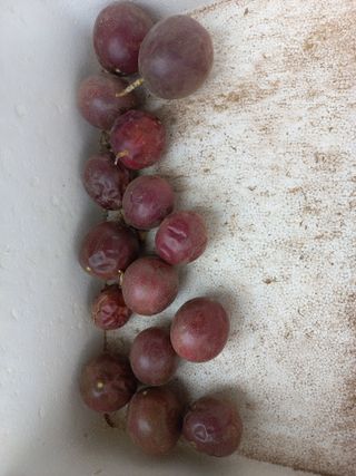 박린님의 자유주제 · 자유게시판 작성글 사진