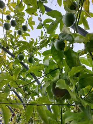 박린님의 자유주제 · 자유게시판 작성글 사진