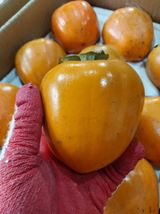 팜모닝 · 게시글 이미지