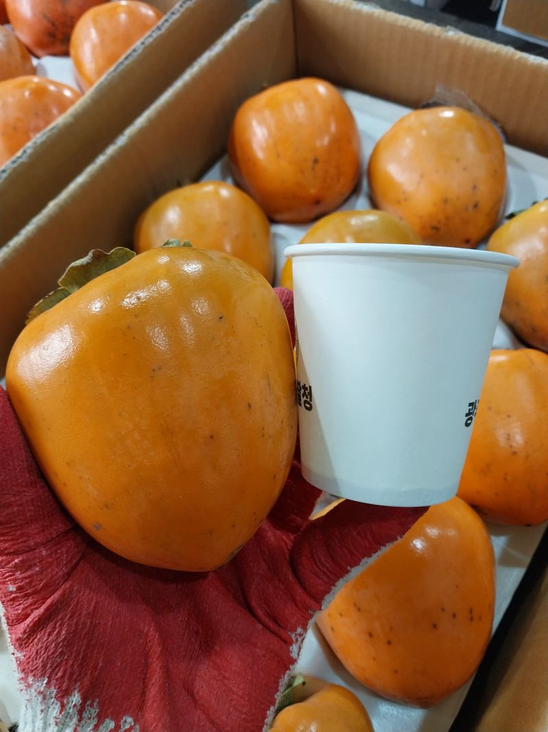 직송포유님의 장터 판매 상품 [대봉감 홍시 대봉시 10kg] 첨부 사진