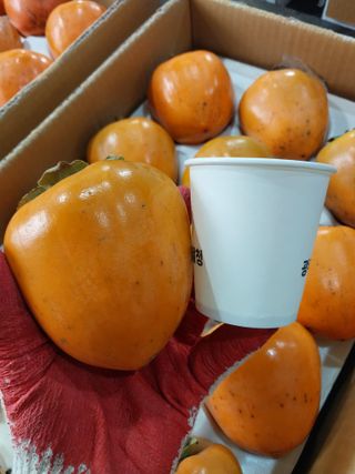 직송포유님의 작성글 사진