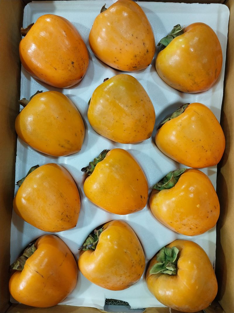 직송포유님의 장터 판매 상품 [대봉감 홍시 대봉시 10kg] 첨부 사진