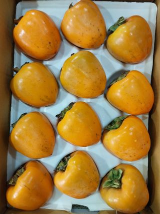 직송포유님의 작성글 사진