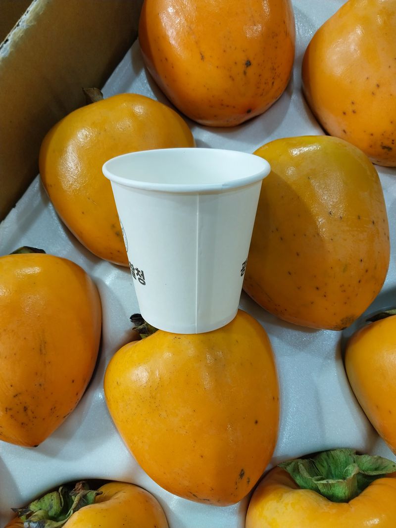 직송포유님의 장터 판매 상품 [대봉감 홍시 대봉시 10kg] 첨부 사진