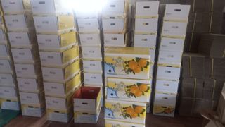 유영출님의 오늘 어떤 농작업하셨나요? · 참여글 작성글 사진