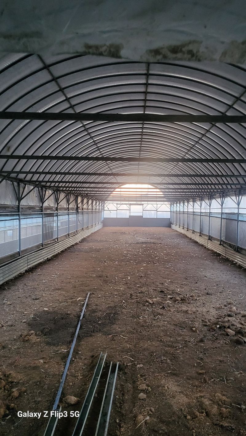 장터 상품 [비닐하우스 ] 썸네일