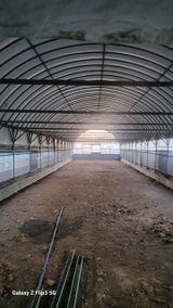 팜모닝 · 게시글 이미지