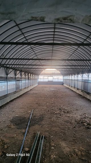 김영복님의 작성글 사진