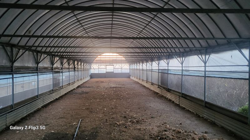 김영복님의 장터 판매 상품 [비닐하우스 ] 첨부 사진