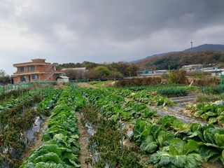 김병남님의 자유주제 · 자유게시판 작성글 사진