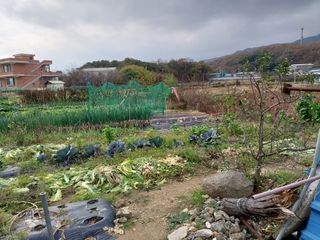 김병남님의 자유주제 · 자유게시판 작성글 사진
