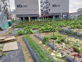 김병남님의 자유주제 · 자유게시판 작성글 사진