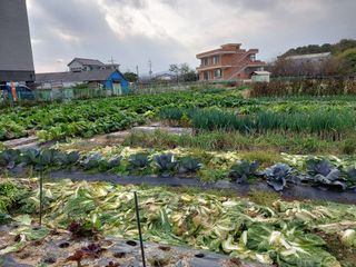 김병남님의 자유주제 · 자유게시판 작성글 사진