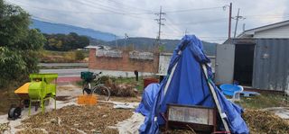 김우진님의 오늘 어떤 농작업하셨나요? · 참여글 작성글 사진