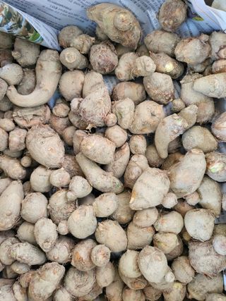 박순례님의 오늘 어떤 농작업하셨나요? · 참여글 작성글 사진