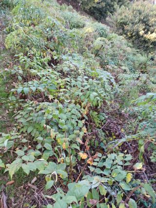 알 수 없음님의 작성글 사진