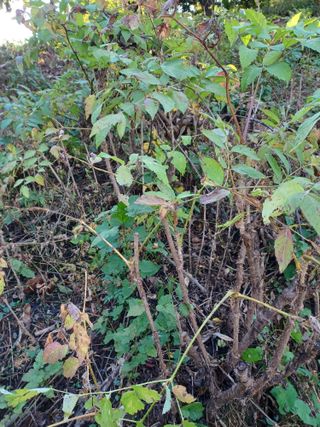 알 수 없음님의 작성글 사진