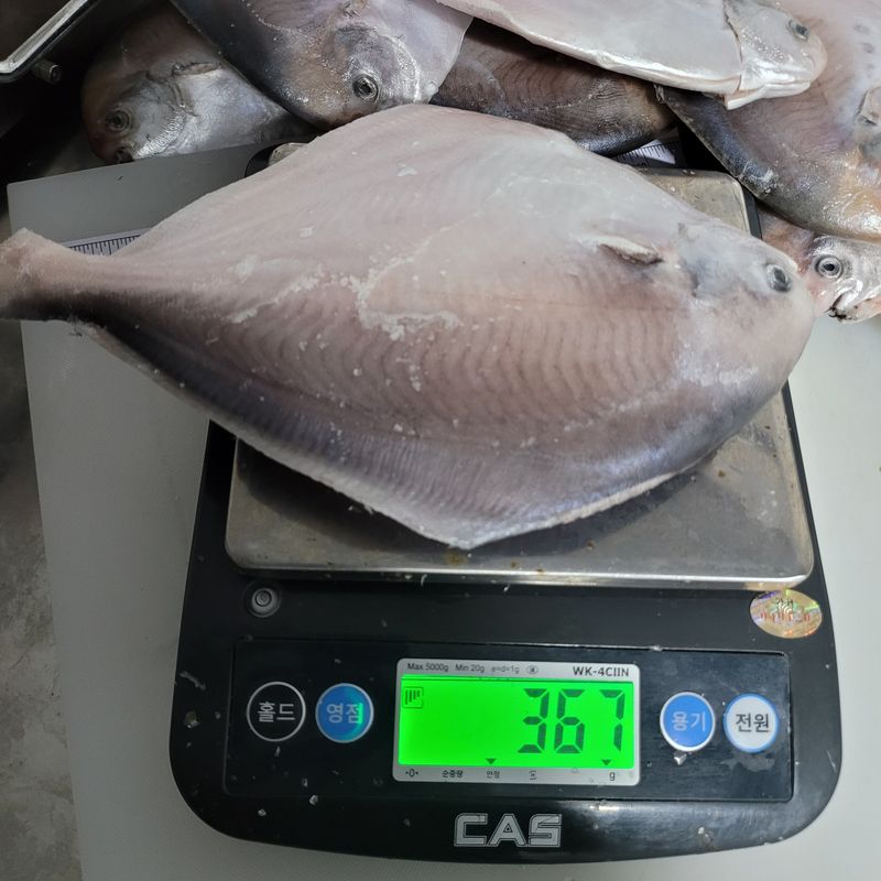 김진국님의 장터 판매 상품 [완도 자연산 병어 4마리(중형)] 첨부 사진