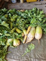 팜모닝 · 게시글 이미지