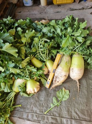 정석범님의 작성글 사진