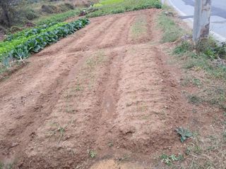 해광님의 오늘 어떤 농작업하셨나요? · 참여글 작성글 사진