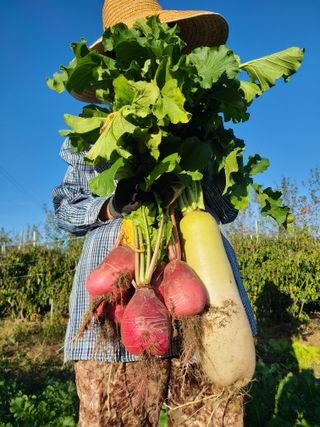 김현주님의 기타작물 · 자유게시판 작성글 사진