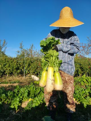 김현주님의 기타작물 · 자유게시판 작성글 사진