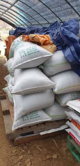 팜모닝 들깨·자유게시판 게시글 이미지