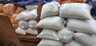 박춘식님의 들깨 · 자유게시판 작성글 사진