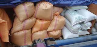 박춘식님의 들깨 · 자유게시판 작성글 사진