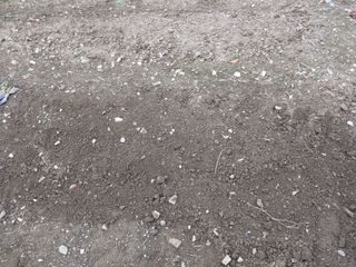 이상애초보농업님의 기타작물 · 자유게시판 작성글 사진