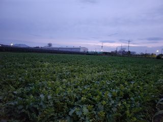 준영농장 출석왕.님의 작성글 사진