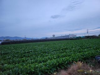 준영농장 출석왕.님의 작성글 사진