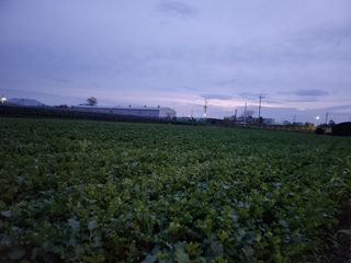 준영농장 출석왕.님의 작성글 사진