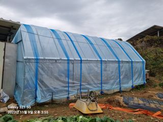 유일기님의 오늘 어떤 농작업하셨나요? · 참여글 작성글 사진