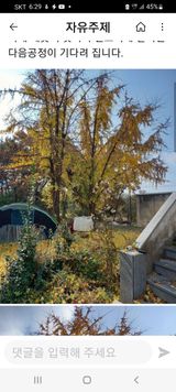 팜모닝 자유주제·자유게시판 게시글 이미지