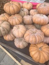 팜모닝 오늘 어떤 농작업하셨나요?·참여글 게시글 이미지