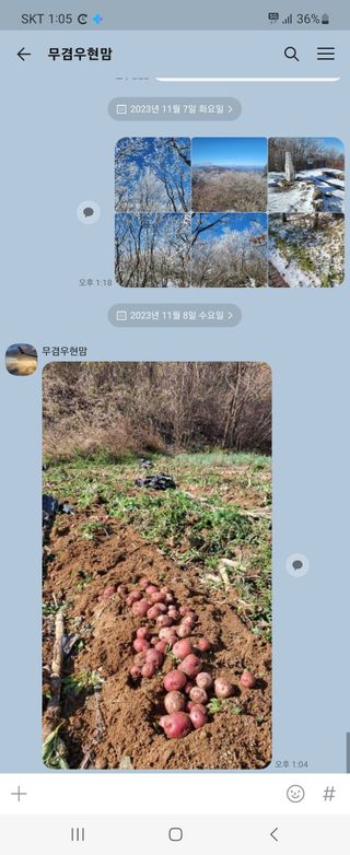 전원표 님의 감자 · 영농일지 작성글 사진