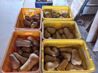 박린님의 자유주제 · 자유게시판 작성글 사진