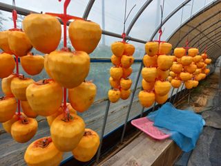 박린님의 자유주제 · 자유게시판 작성글 사진