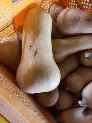 박린님의 자유주제 · 자유게시판 작성글 사진