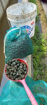 팜모닝 벼·자유게시판 게시글 이미지