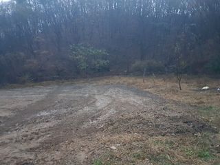 이발사님의 오늘 어떤 농작업하셨나요? · 참여글 작성글 사진