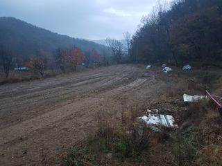 이발사님의 오늘 어떤 농작업하셨나요? · 참여글 작성글 사진