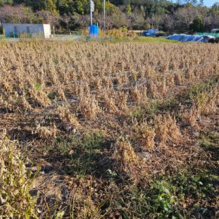김영식님의 오늘 어떤 농작업하셨나요? · 참여글 작성글 사진