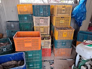 주재순님의 오늘 어떤 농작업하셨나요? · 참여글 작성글 사진