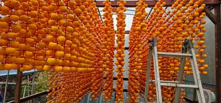 백용기님의 자유주제 · 자유게시판 작성글 사진